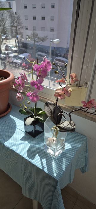 Orquídeas de plástico - decoração