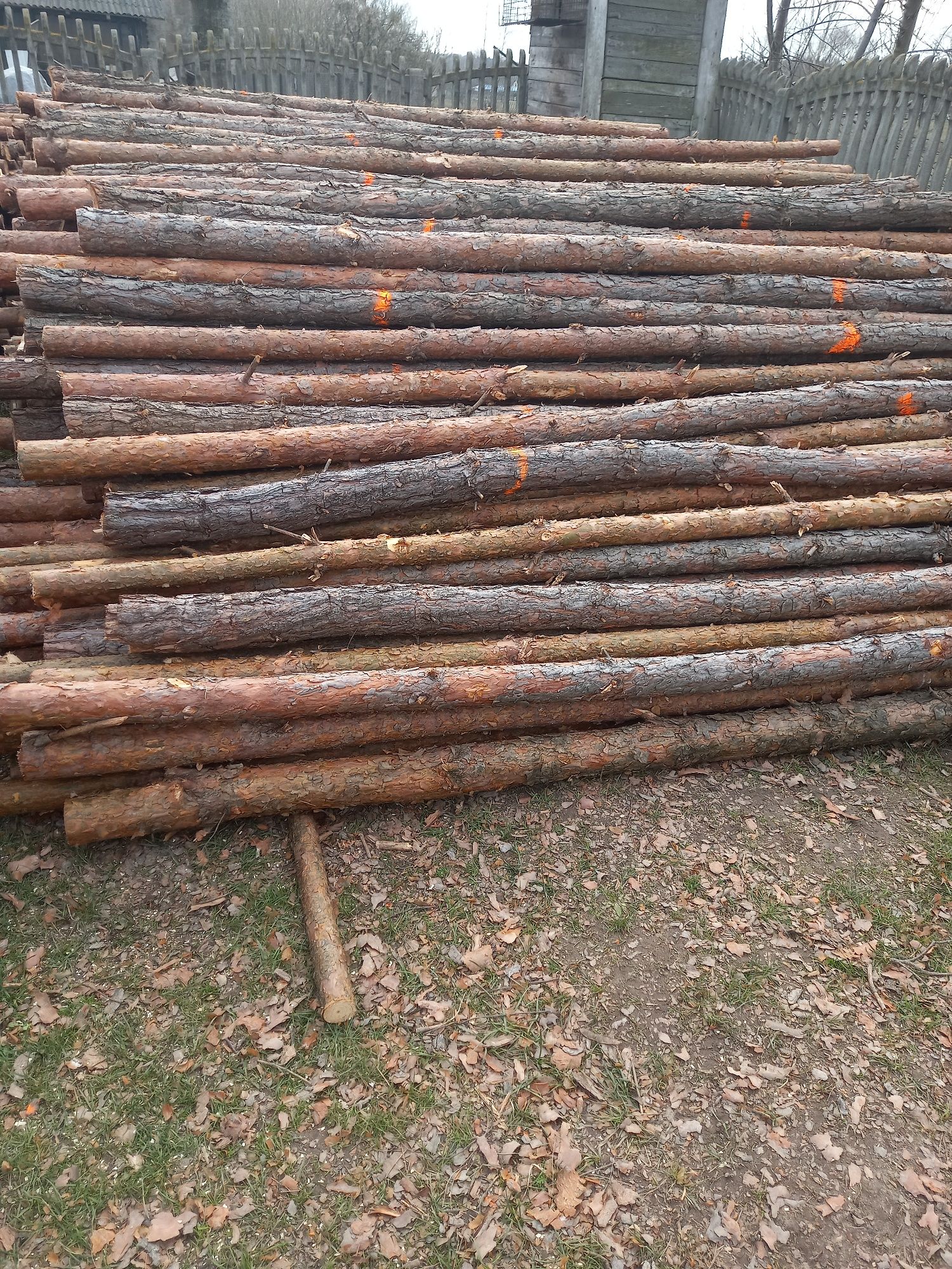 Kolki slupki ogrodzeniowe drewniane 2.5m