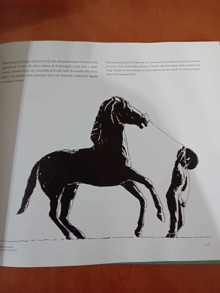 O Solar do Cavalos