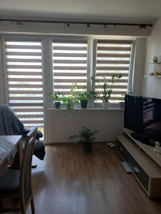 Mieszkanie w centrum Łowicza