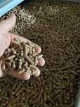 taniej! FLORES Pellet pelet