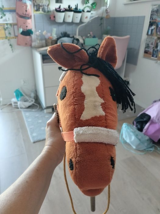 Hobby horse rudy