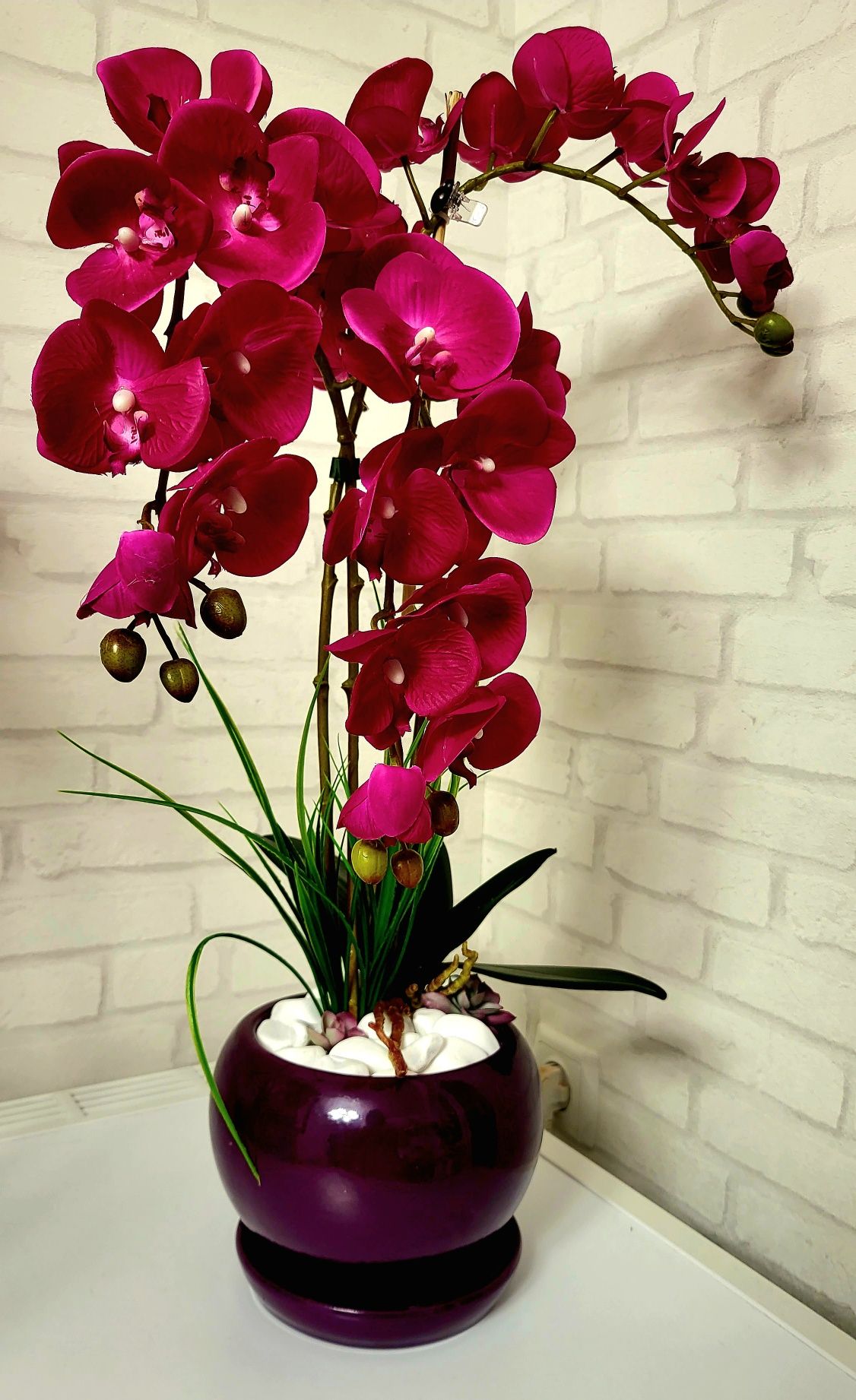 Декоративна орхідея