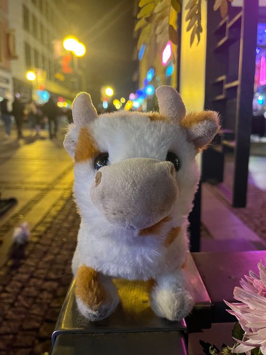 Chodzikowe Przytulaki