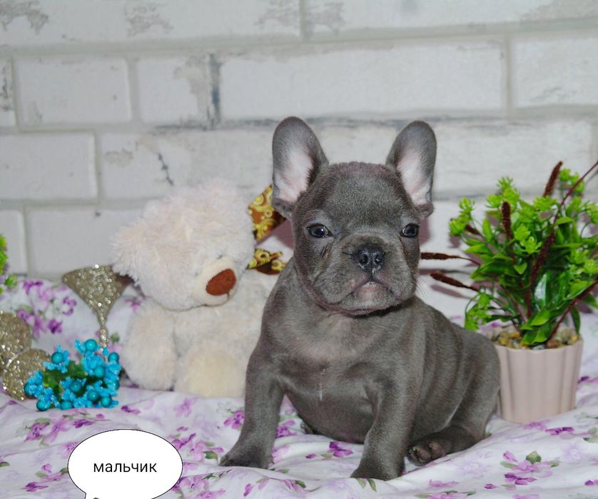 Супер детки ждут Вас