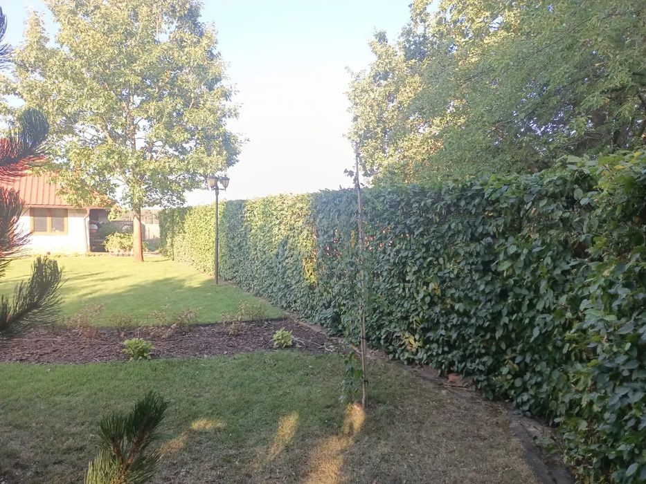 Ogrodnik Usługi ogrodnicze wertykulacja aeracja  oprysk odśnieżanie