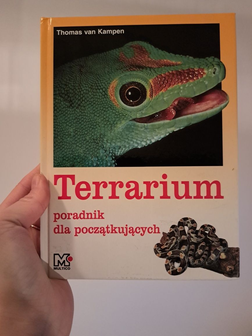 Terrarium poradnik dla początkujących