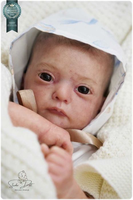 Studio Doll reborn doll - Ana Gudrun Legler prawdziwy reborn 3D skóra
