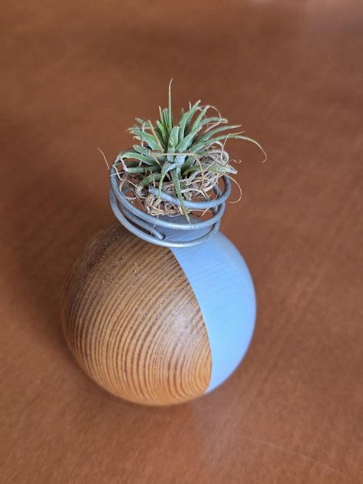 Oplątwa ze stojakiem