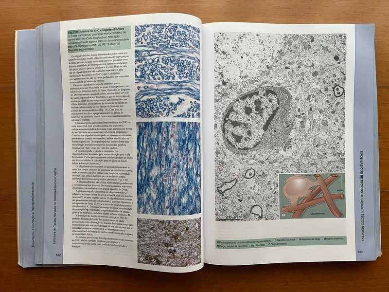 Histologia Funcional - Texto e Atlas em Cores