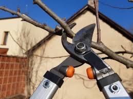 Очистка участков, спил деревьев,вывоз веток,вспашка земли,покос травы.