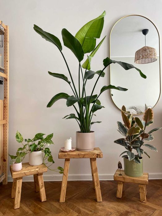 Kuchnie na wymiar, szafy, meble, atrakcyjne ceny, dostępne terminy.