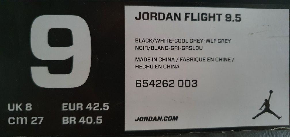 Jordan flight 9.5