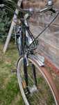 Rower Diamant topas , Nexus 8, 53 cm, bdb