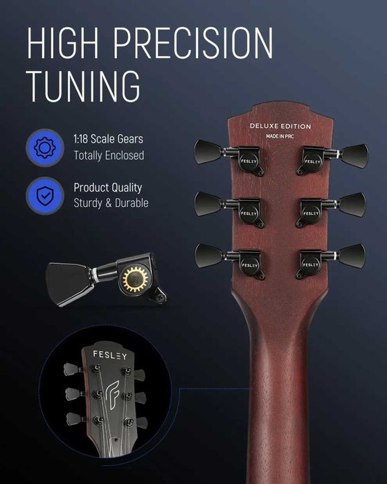 Електрогітара Fesley FLP350 BK (комплект)