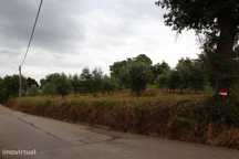 Terreno situado no concelho de Condeixa