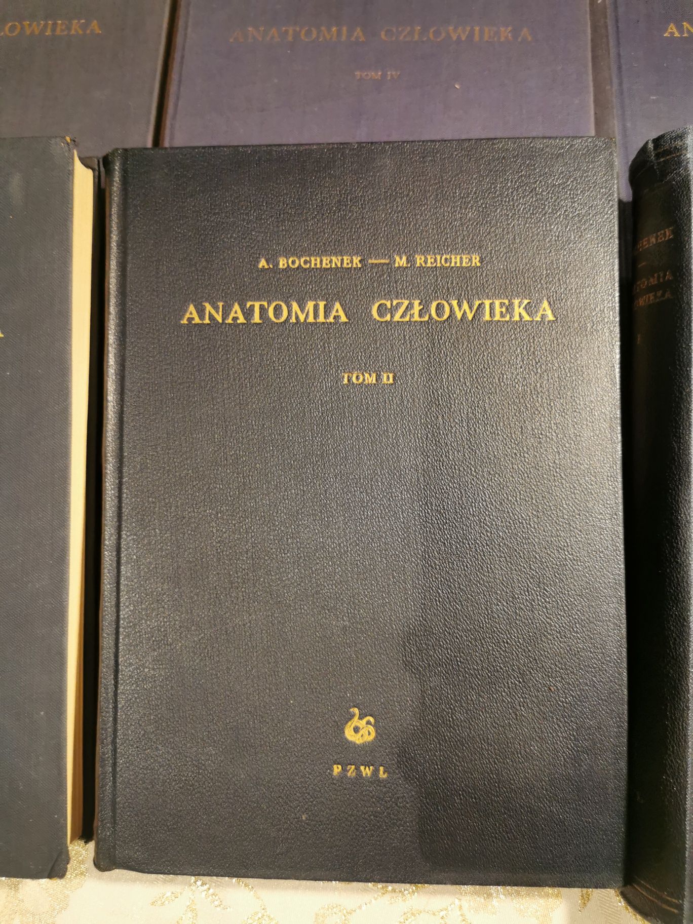 anatomia człowieka Bochenek reicher 1952