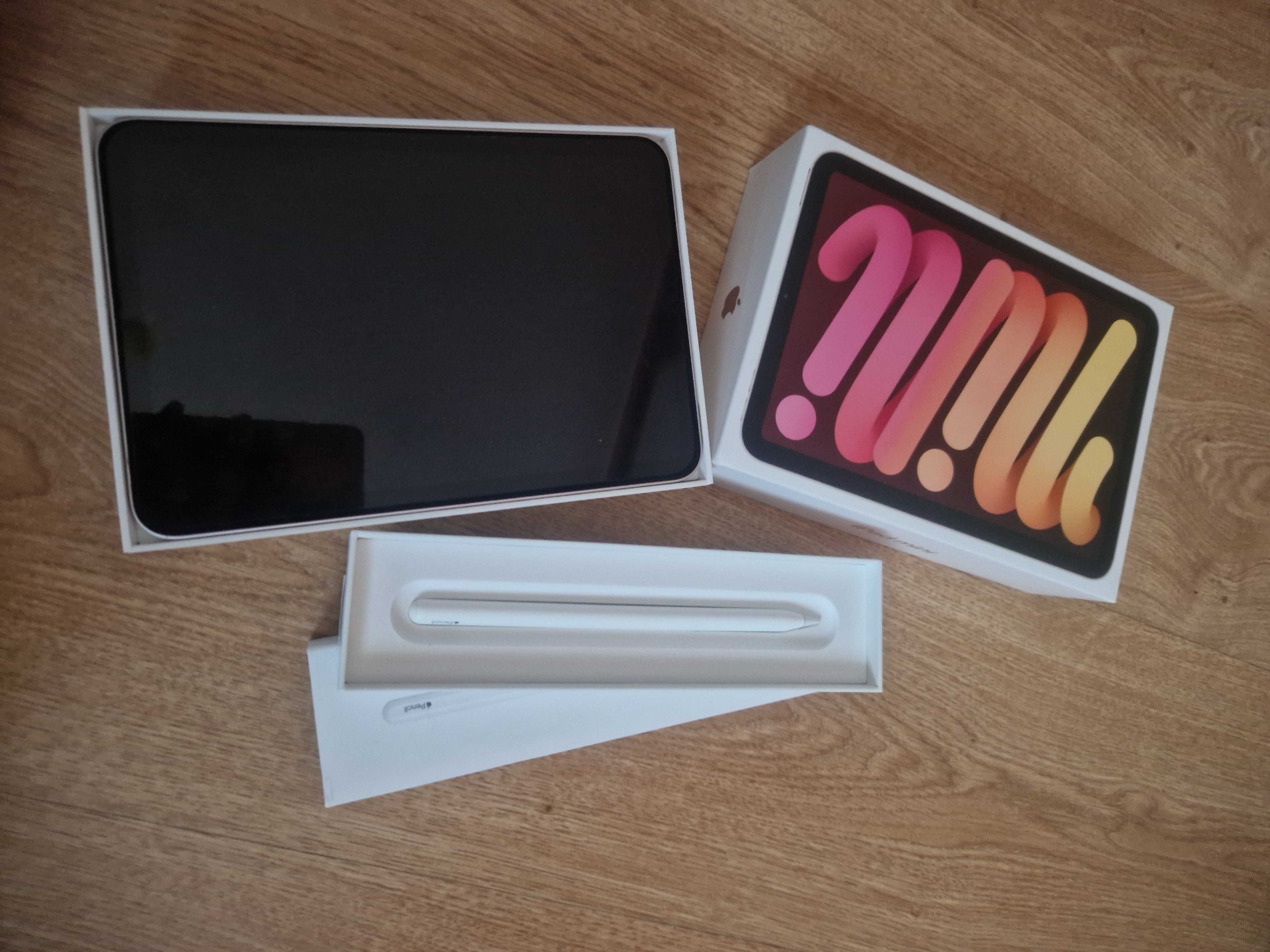 iPad mini 6th generation 256GB
