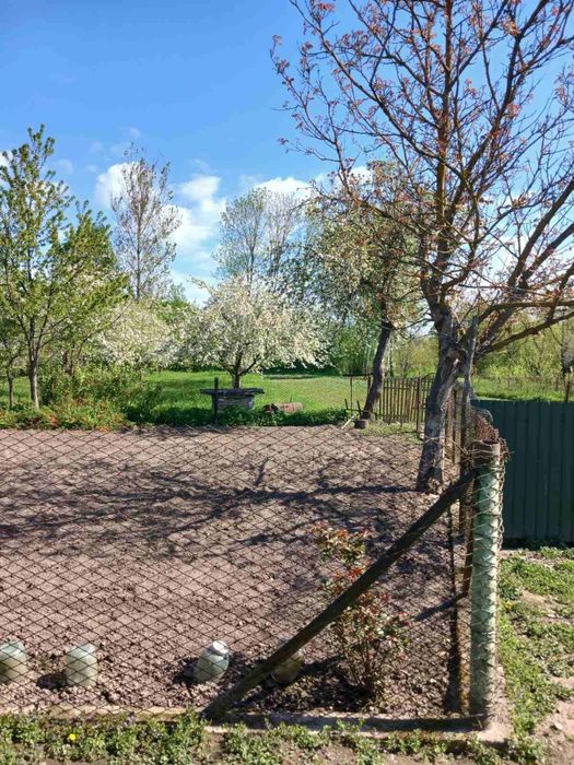 Продаж будинку в центрі села