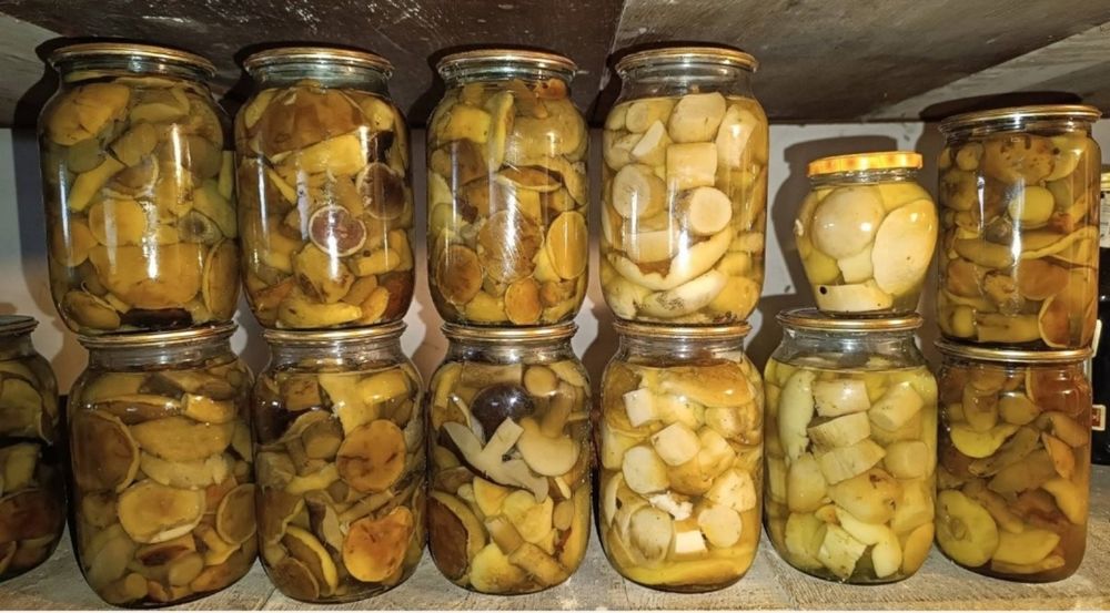 Гарбузове насіння, сухі гриби, мариновані гриби, капсули