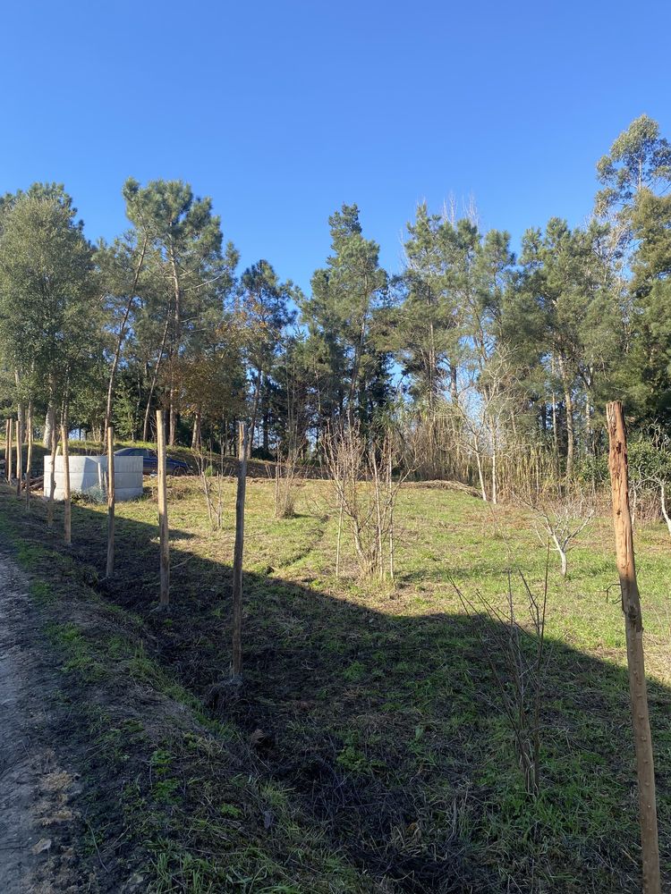 Terreno para construção / Figueira Da Foz / Moradia Unifamiliar