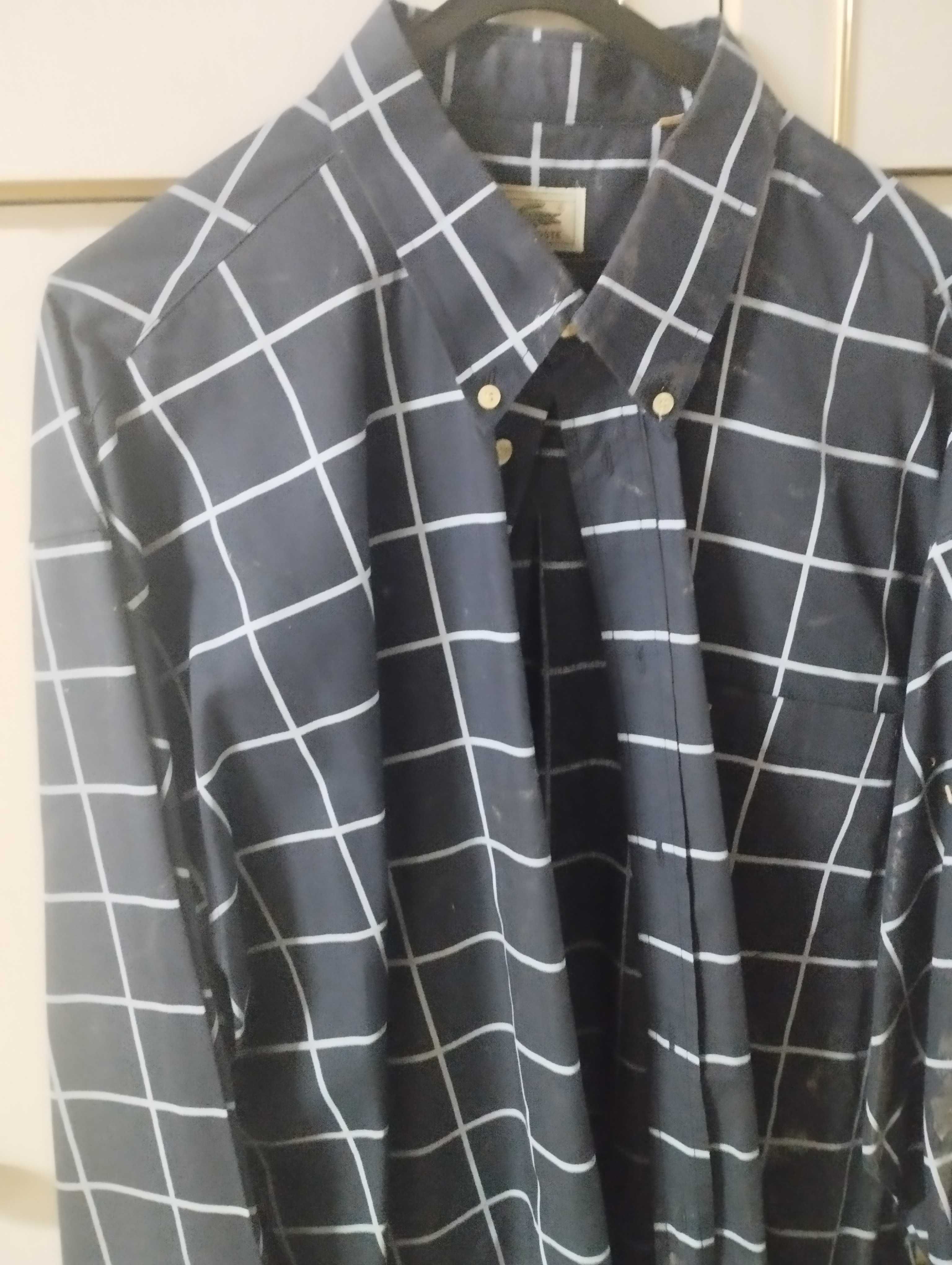 Camisa lacoste azul
