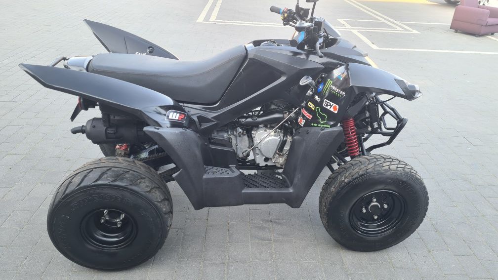Adly 320 Access lucky star bashan shineray quad