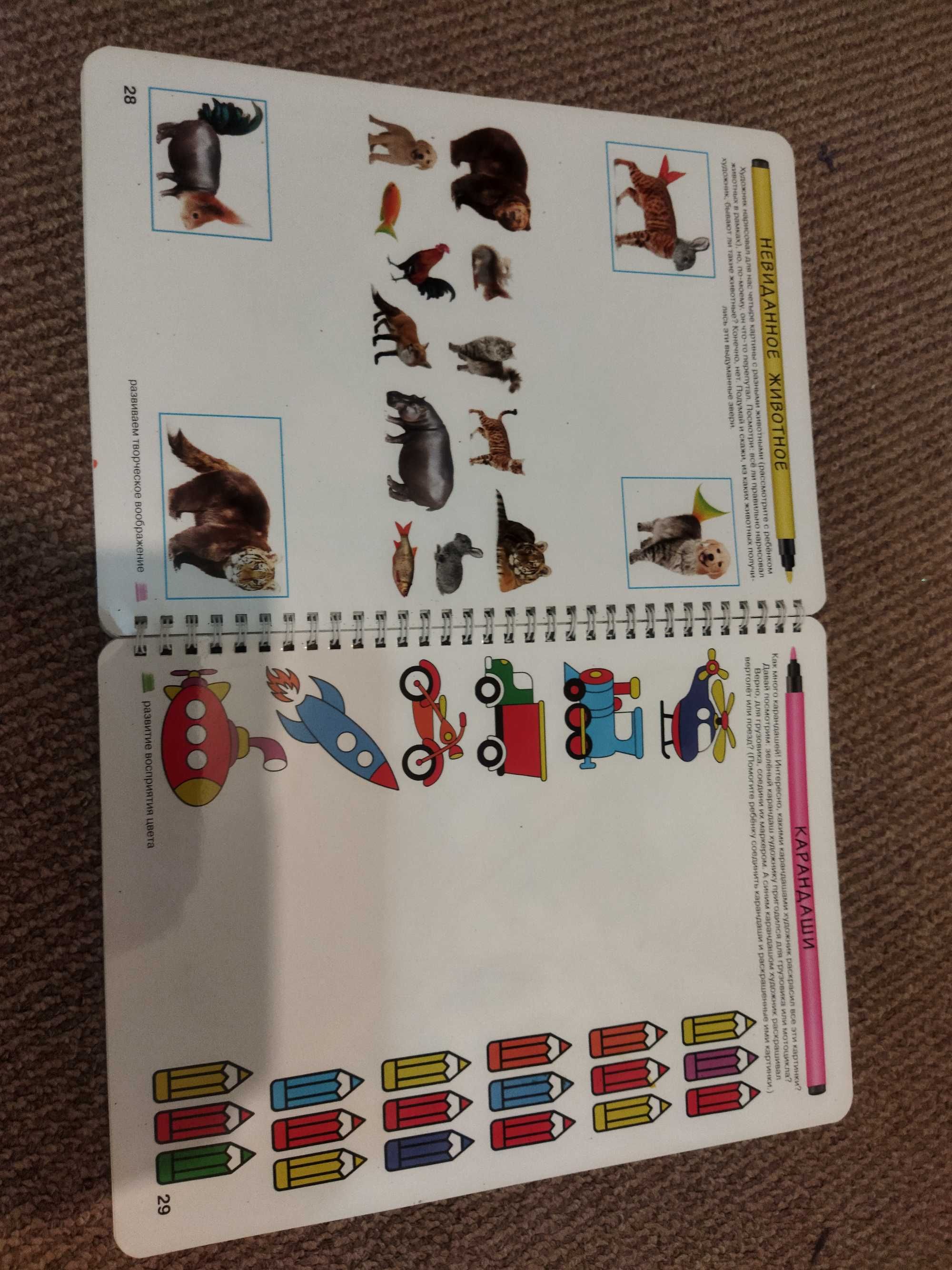 Логика и познание 4-5лет