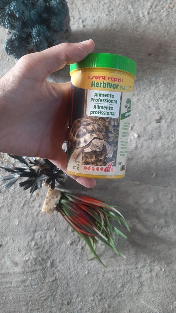 Acessórios aquário