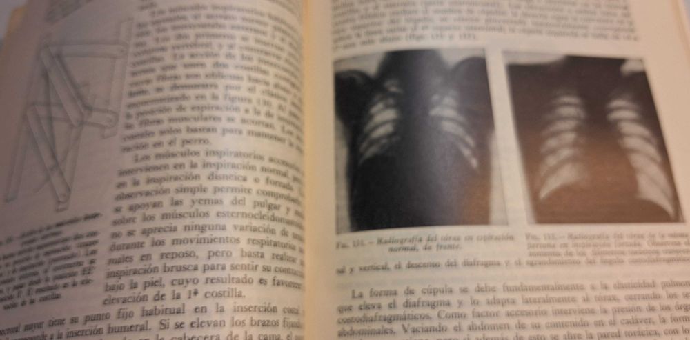 Medicina - Fisiologia Humana