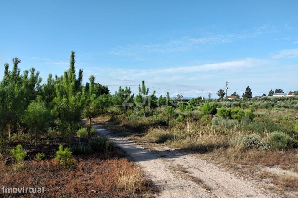 Terreno 1490m2 em Lagares - Coimbra