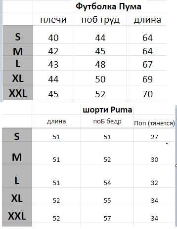 Знижка чоловічий комплект Puma футболка + шорти