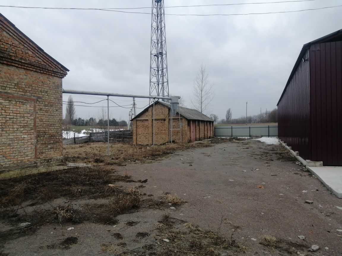 Оренда промислового майданчика та складскіх приміщень.