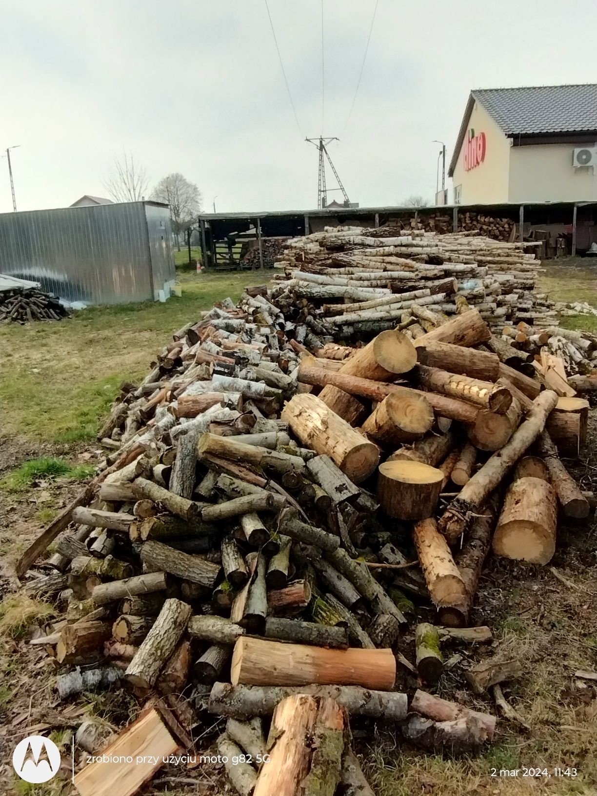 Sprzedam drzewo opałowe w całości lub rąbane