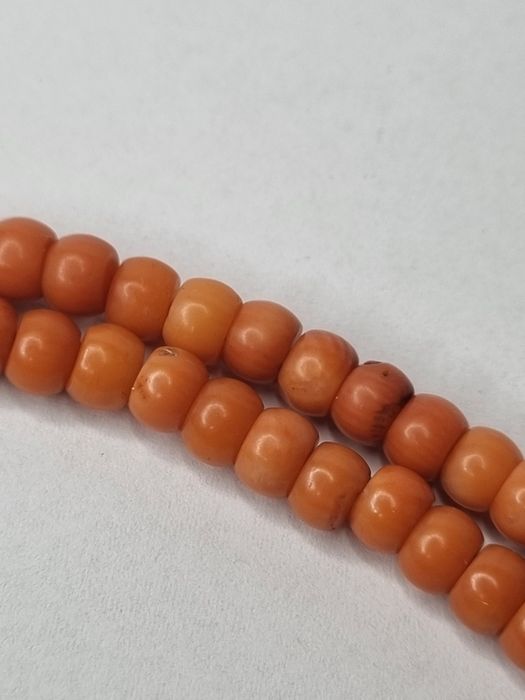 Koral naturalny jarzębina