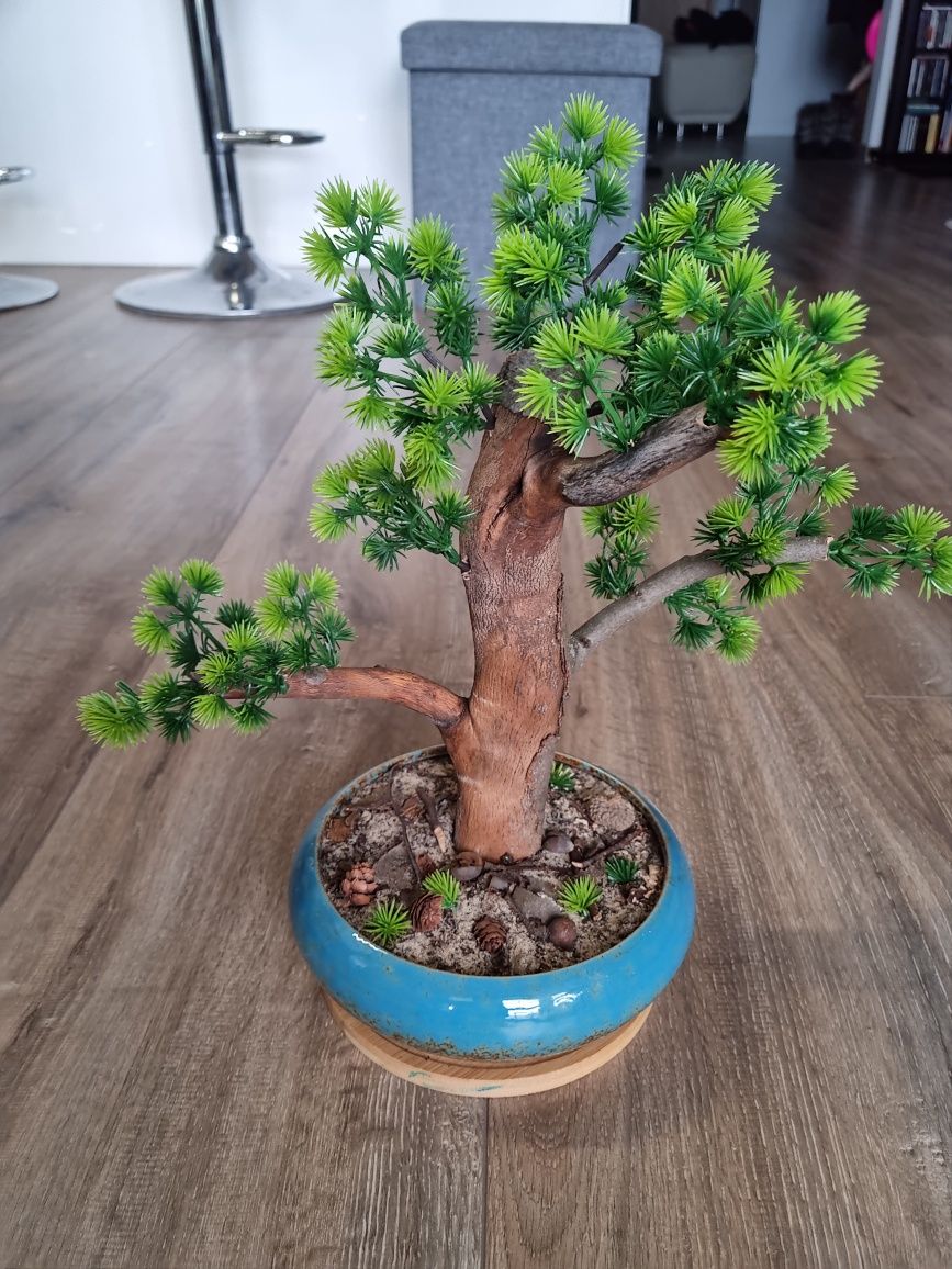 Drzewko   bonsai