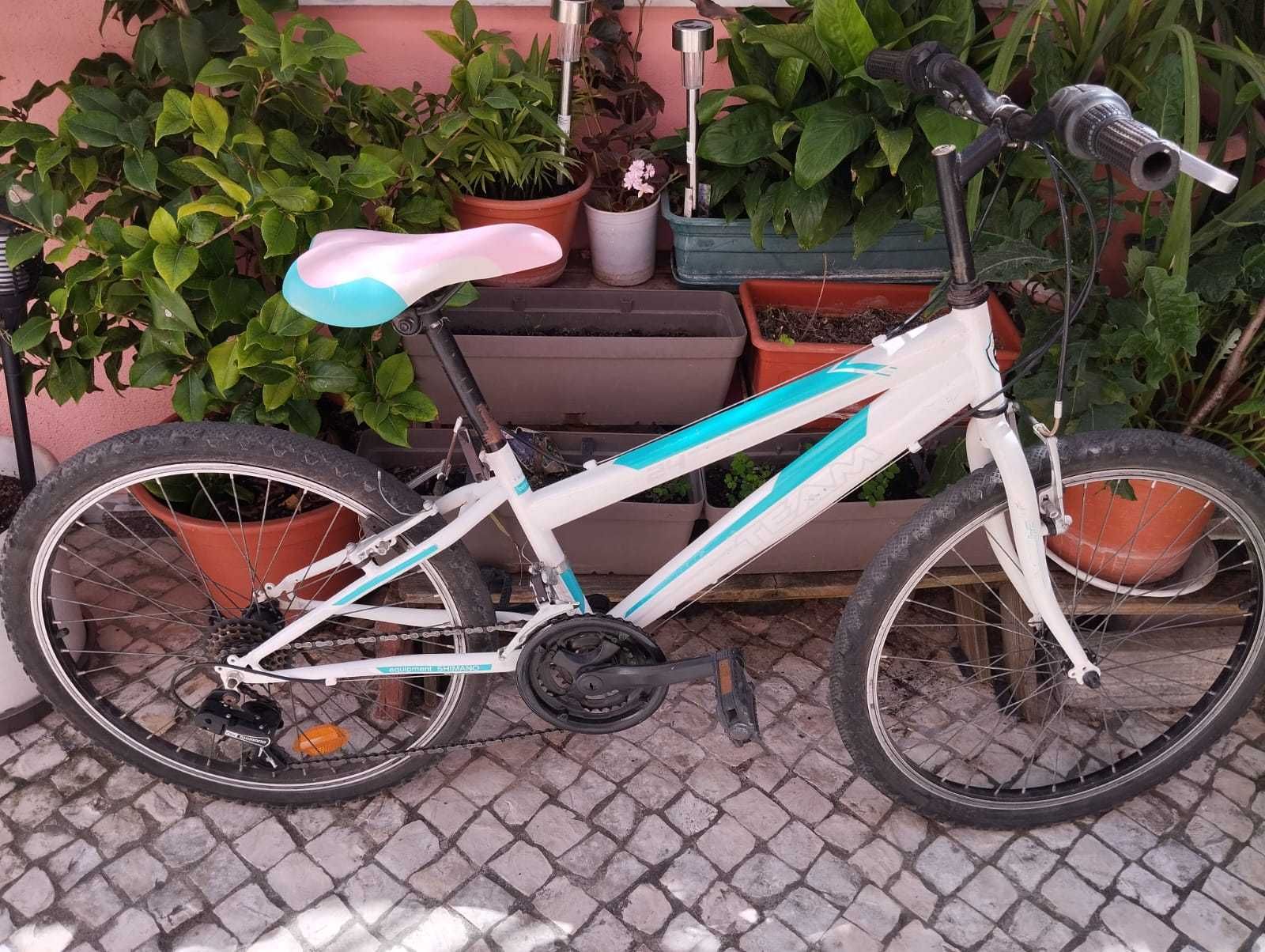 Bicicleta BTT roda 24