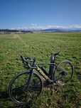 Trek Domane+ AL 5 r.52 gravel elektryczny