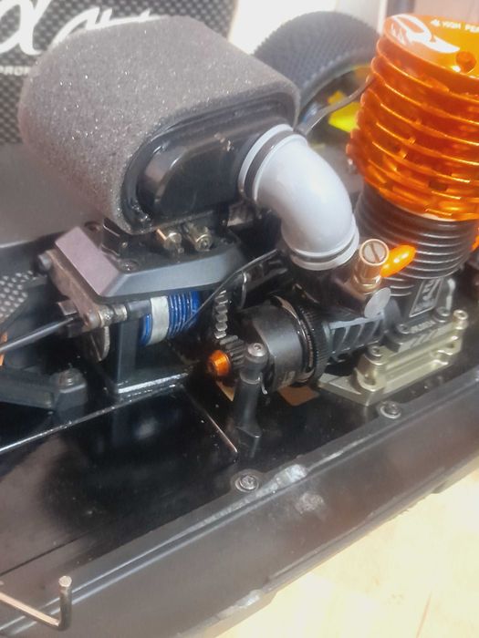 Buggy Hot Bodies d815