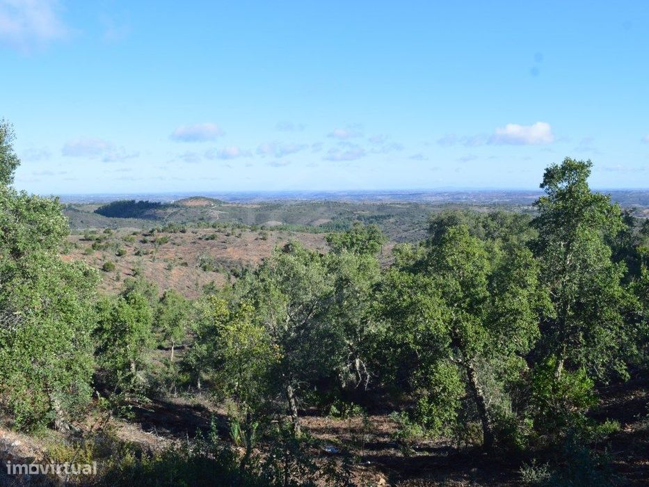 Terreno com duas ruínas registadas como artigos urbanos, Almodôvar,...