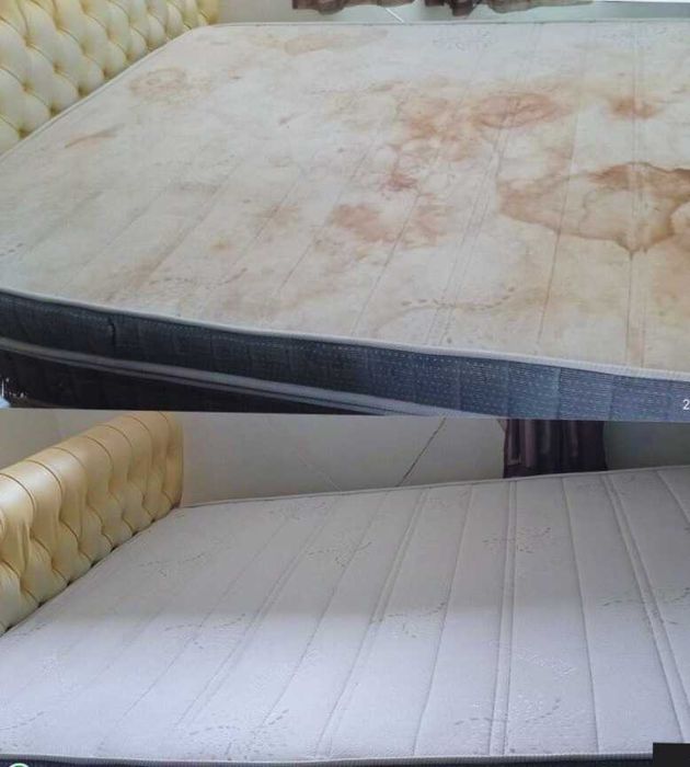 +15% Rabat Profesjonalne Pranie Czyszczenie Tapicerki Meblowej Dywanów