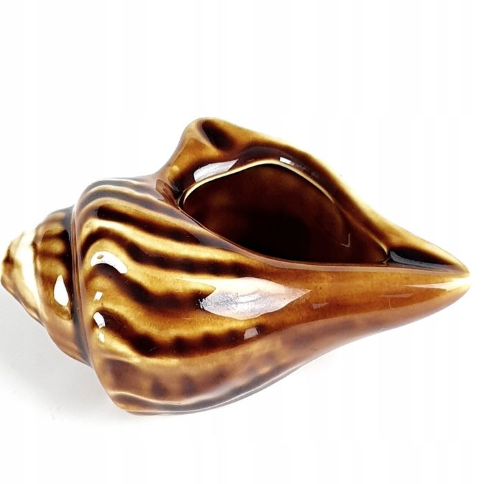 Muszla Piękna Chińska Popielniczka