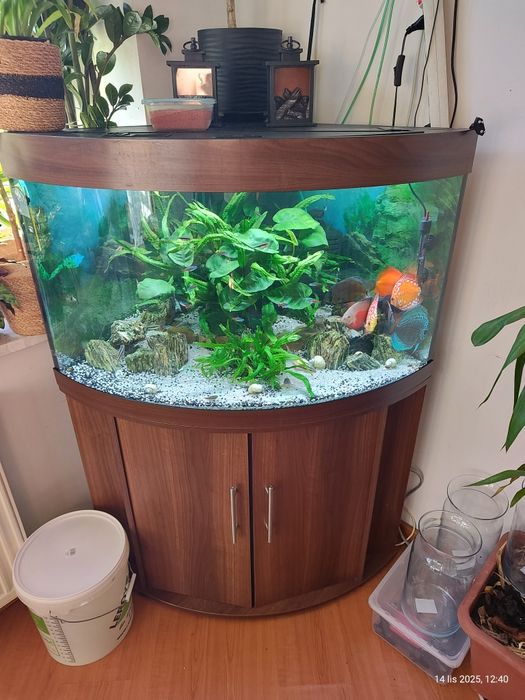 Akwarium narozne- Juwel zestaw za 240 l z klapą.