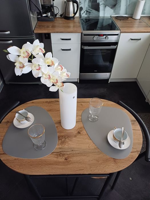 Mieszkanie Apartament Centrum. Wynajem na doby.