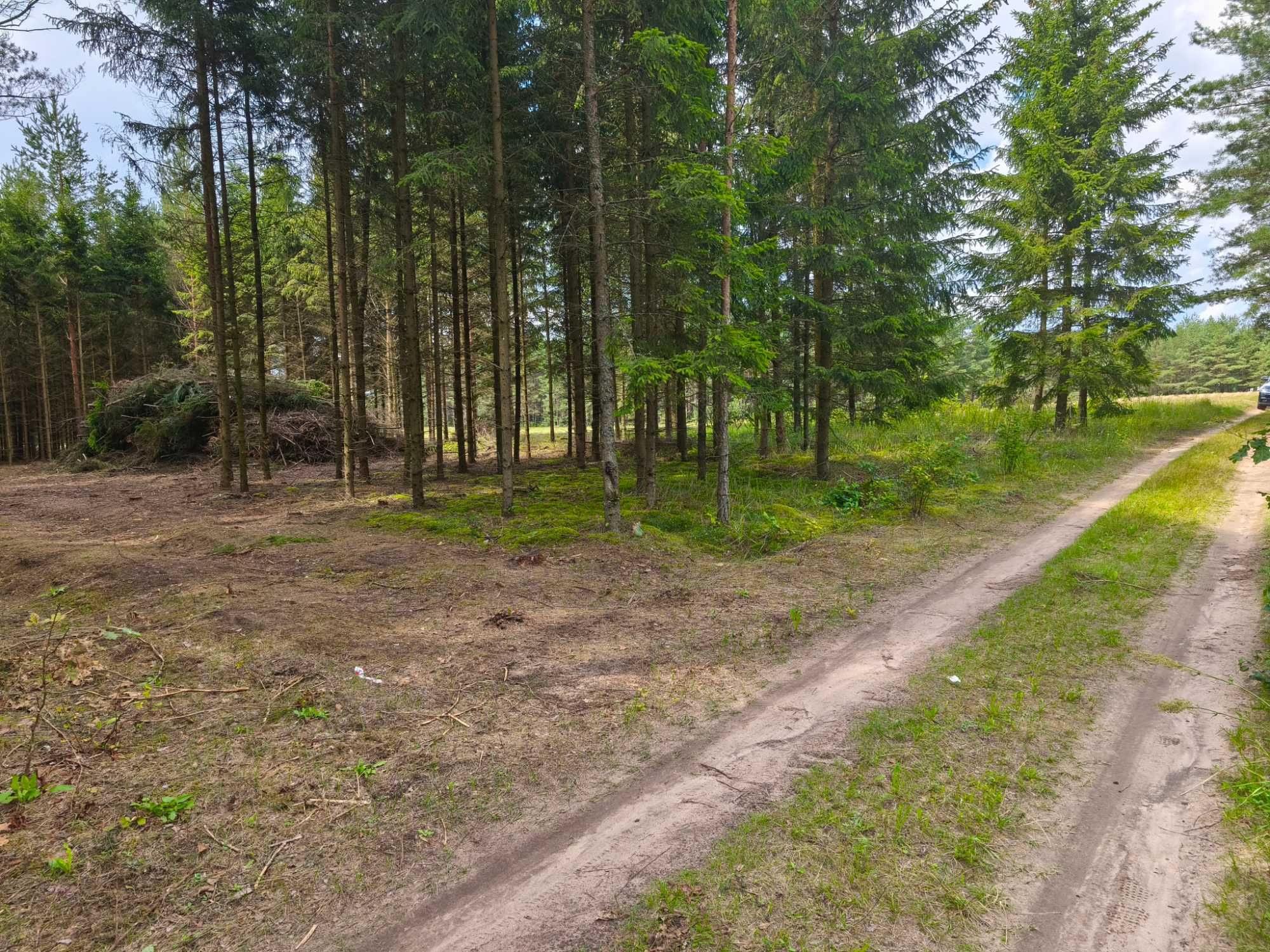 Działka 4000 m²–Szczebra, serce Puszczy Augustowskiej | WZ