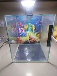 Aquario 19l luz led