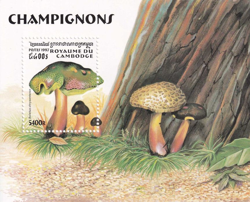 Kambodża 1997 cena 4,20 zł kat.5€