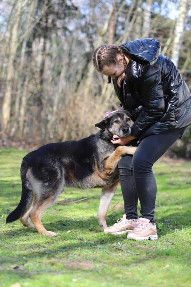 Ozzy przeszedł tak wiele, teraz brakuje mu tylko domu