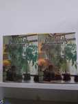 Livros de plantas conforme fotos .novos.