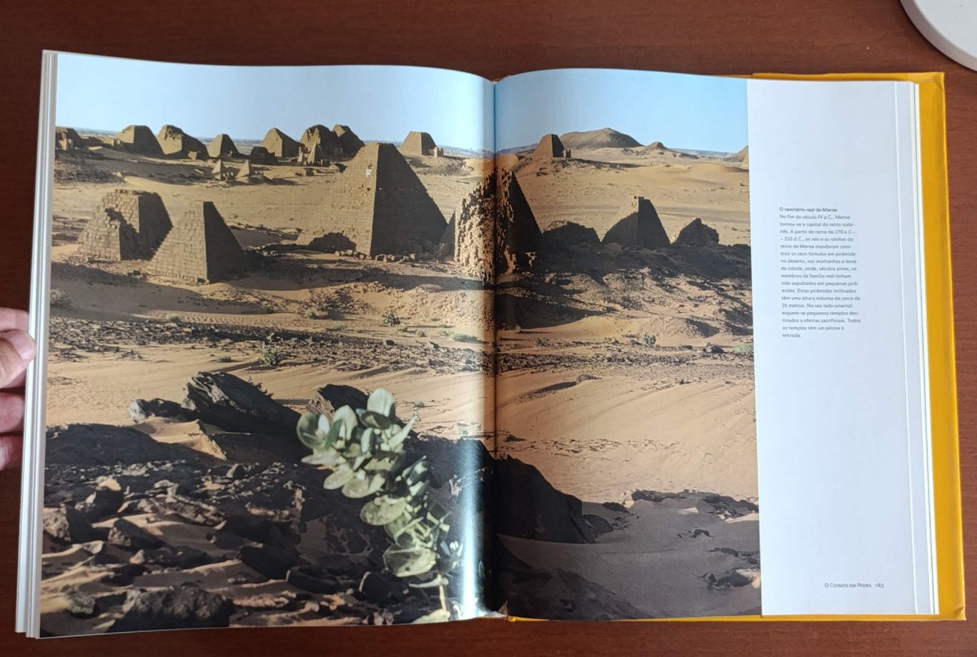 O Egipto - Dietrich Wildung
Da Pré-História aos Romanos 
Capa dura